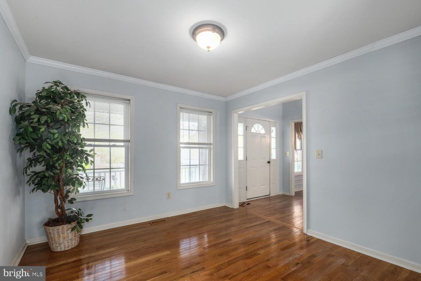 10807 Wise Court photo 10