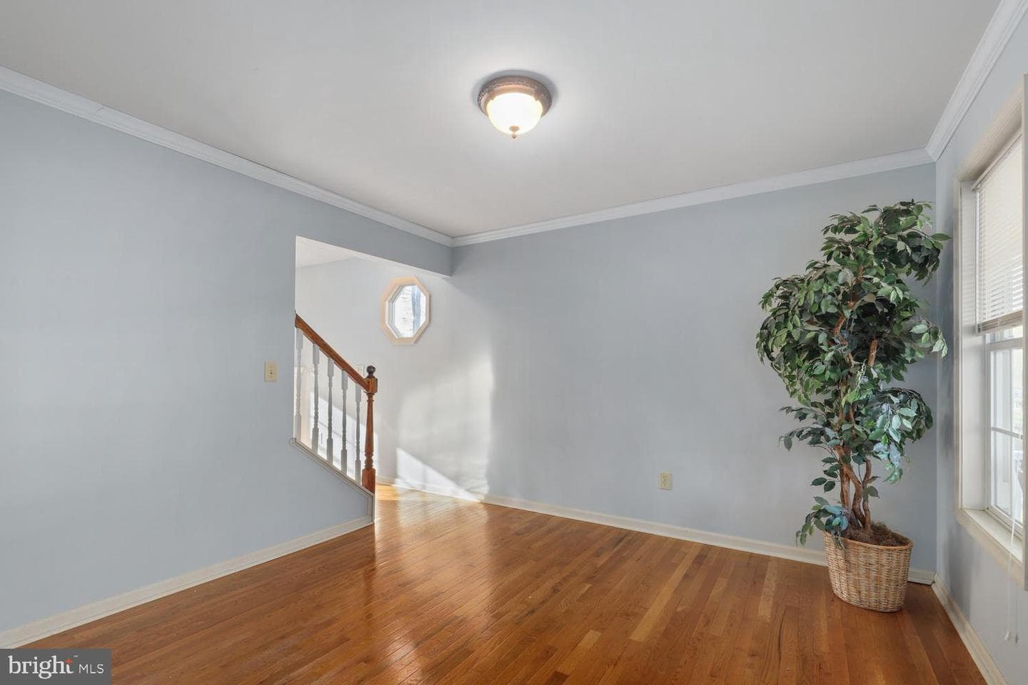 10807 Wise Court photo 9