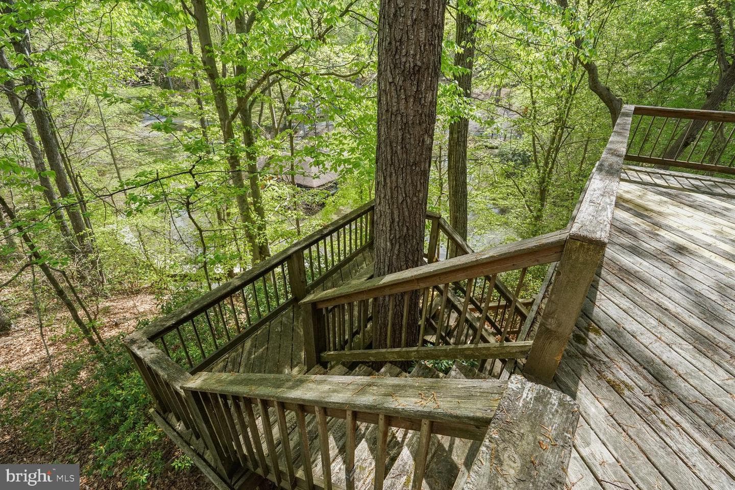 5409 Harbour Bluff photo 27