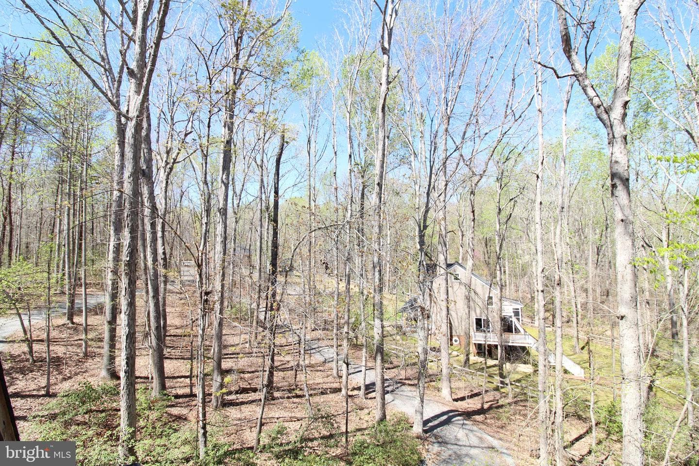 5409 Harbour Bluff photo 33