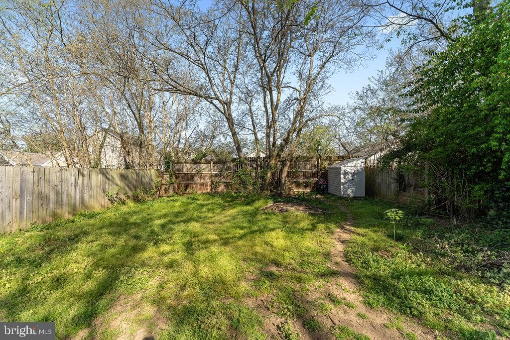 220 Mansfield Street photo 33