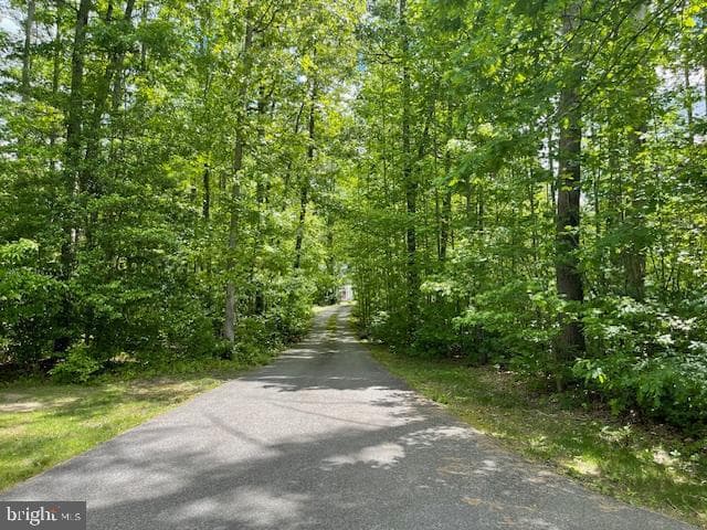 9538 Post Lane photo 10