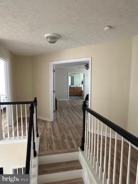 9538 Post Lane photo 33
