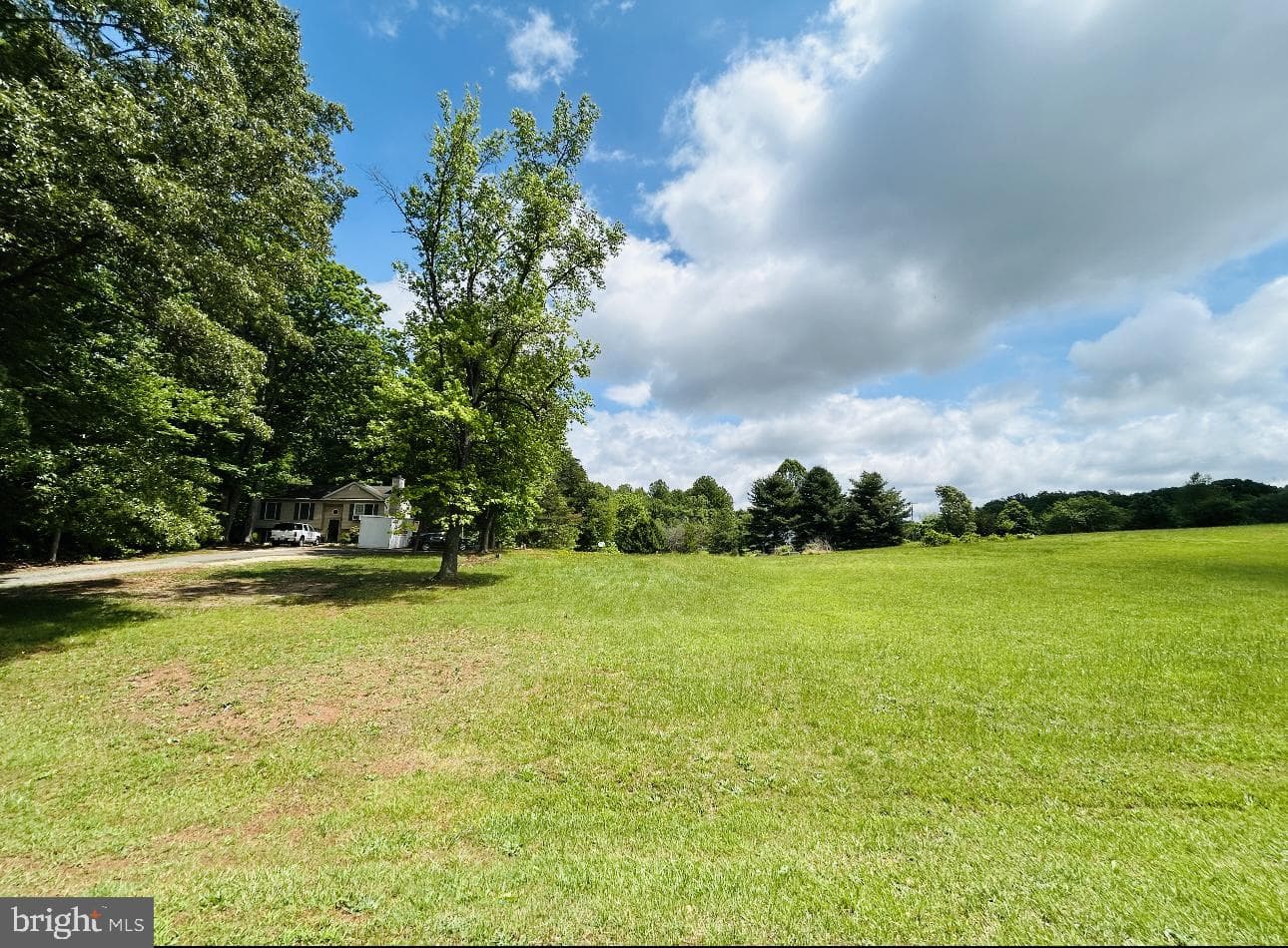 7101 Dorothy Lane photo 3