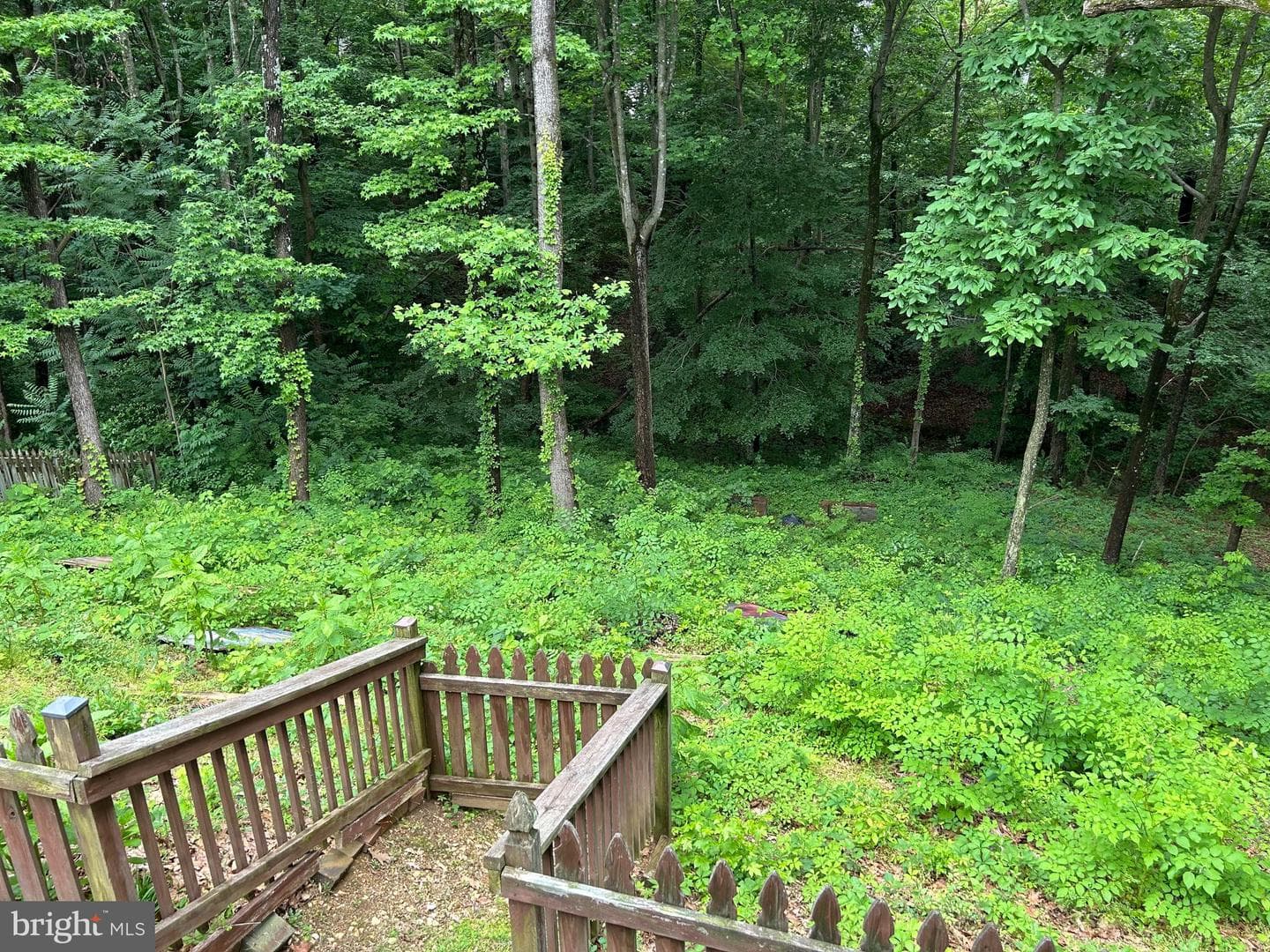 4112 Glouster Lane photo 9