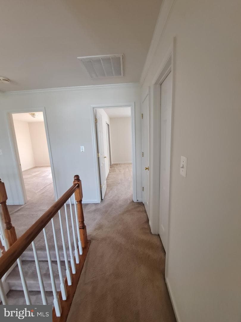 10324 Lees Crossing Lane photo 21
