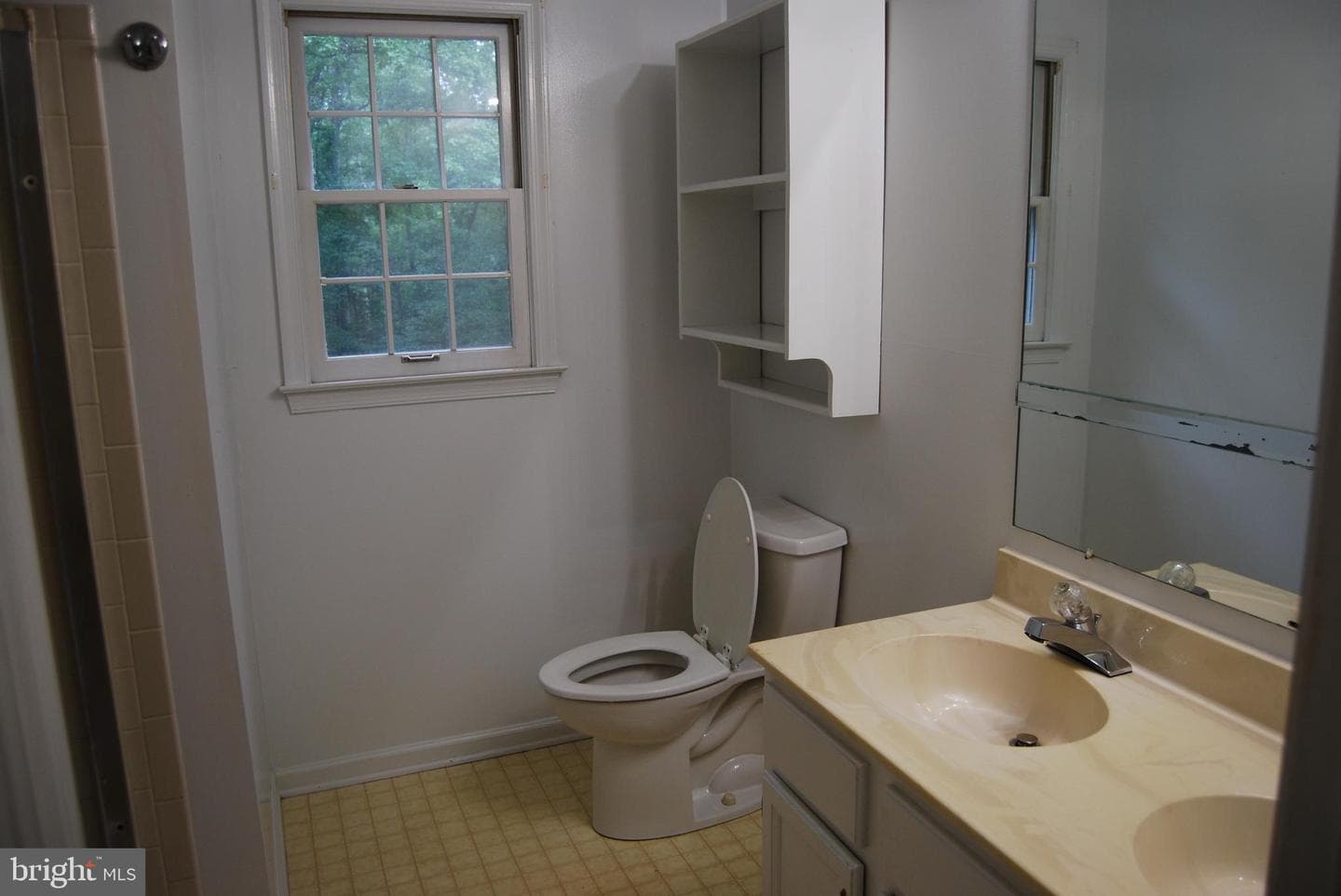 10703 Ann Davis Drive photo 18