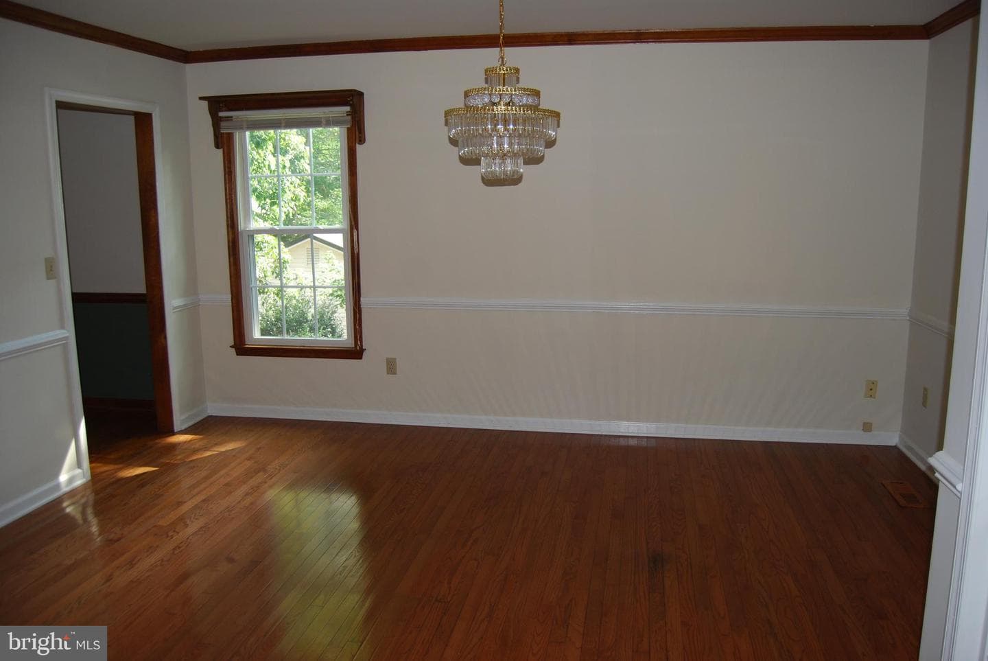 10703 Ann Davis Drive photo 20
