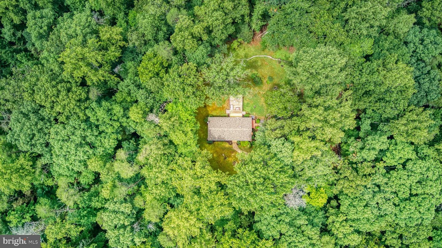 11616 Forest Walk Drive photo 11
