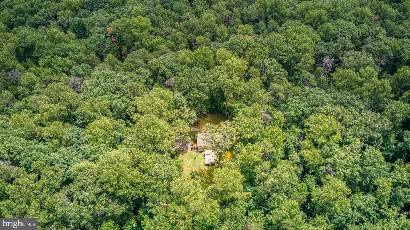 11616 Forest Walk Drive photo 13