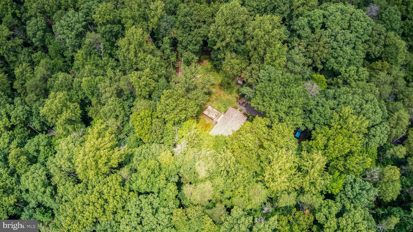 11616 Forest Walk Drive photo 15