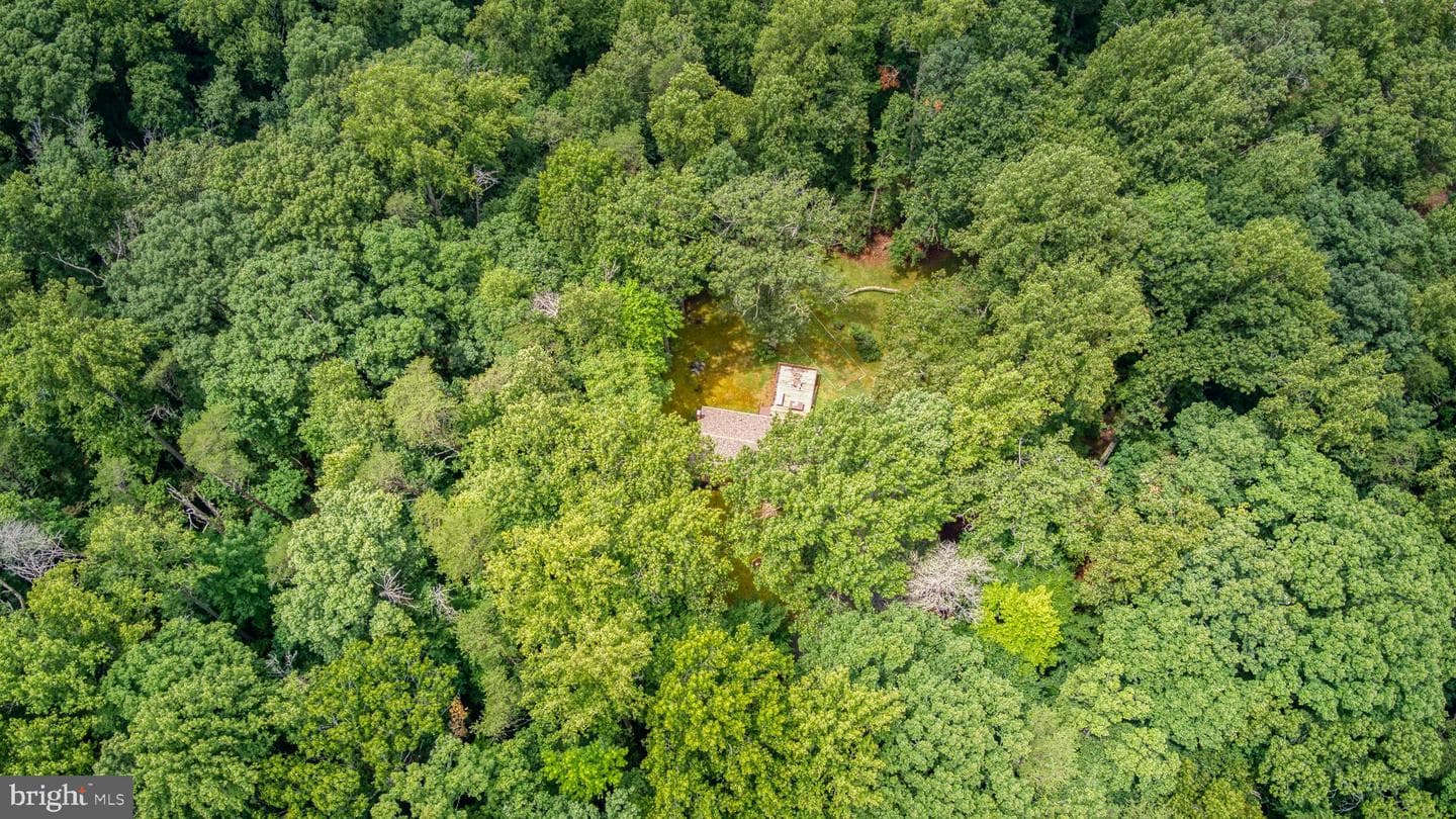 11616 Forest Walk Drive photo 16
