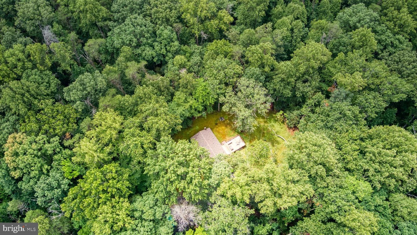 11616 Forest Walk Drive photo 17
