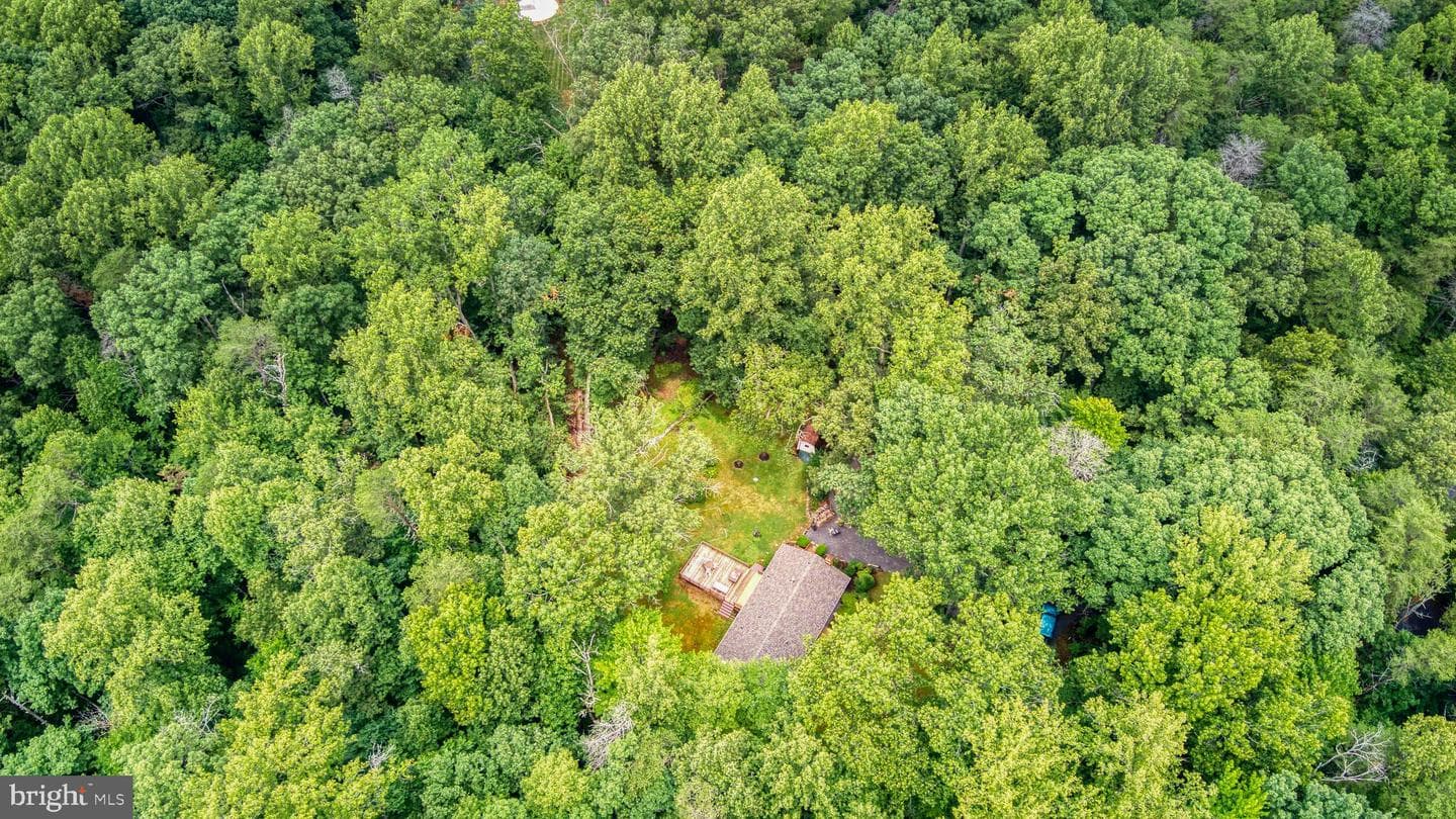 11616 Forest Walk Drive photo 18