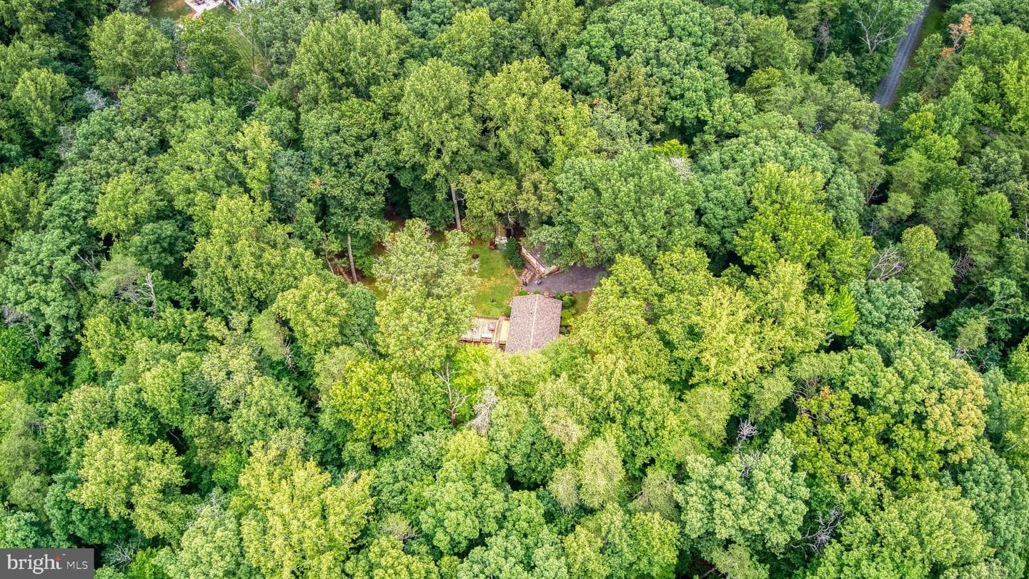 11616 Forest Walk Drive photo 19