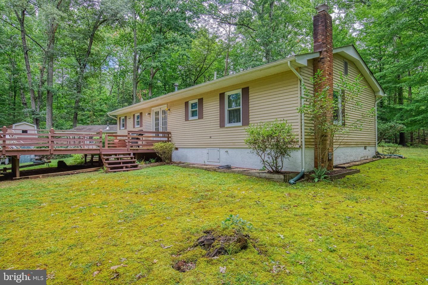 11616 Forest Walk Drive photo 2