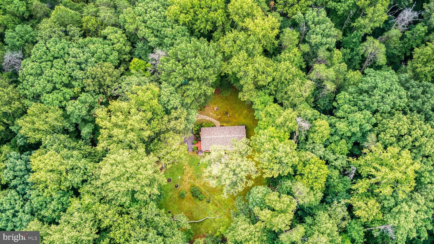 11616 Forest Walk Drive photo 21