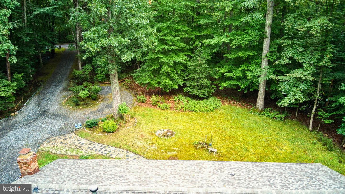 11616 Forest Walk Drive photo 22