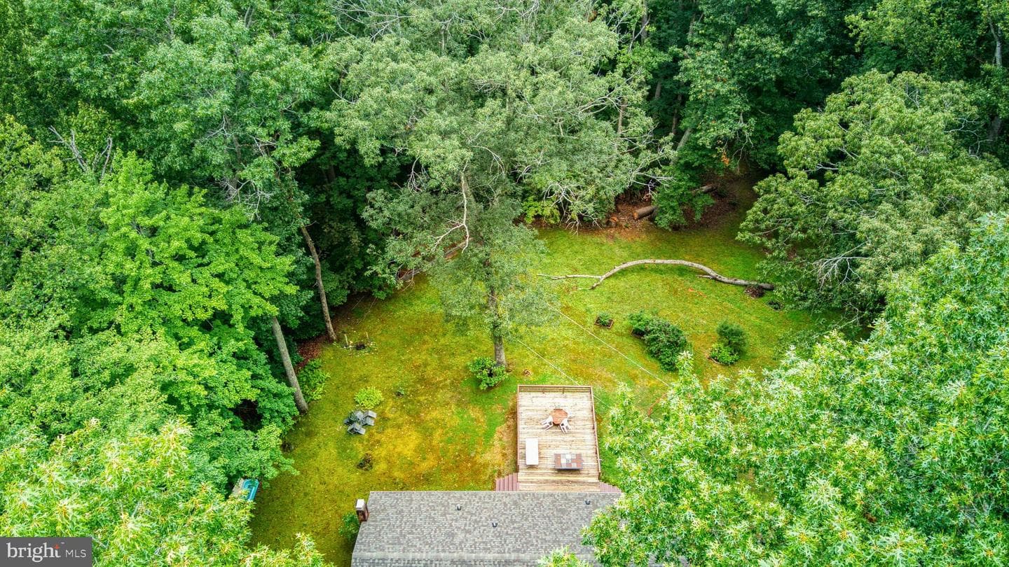 11616 Forest Walk Drive photo 23