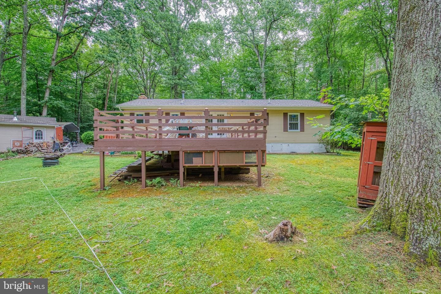 11616 Forest Walk Drive photo 3