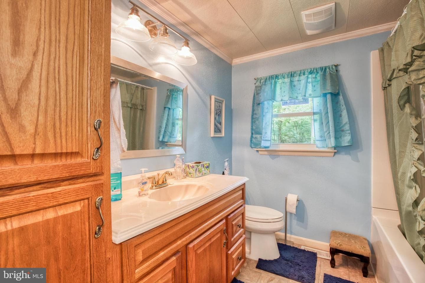 11616 Forest Walk Drive photo 33