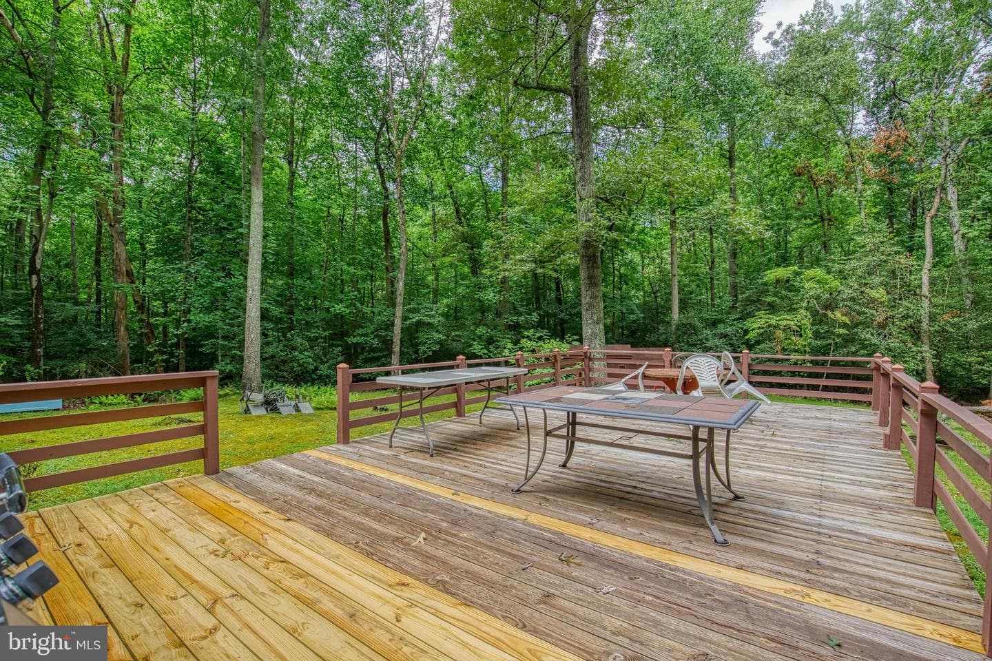 11616 Forest Walk Drive photo 7