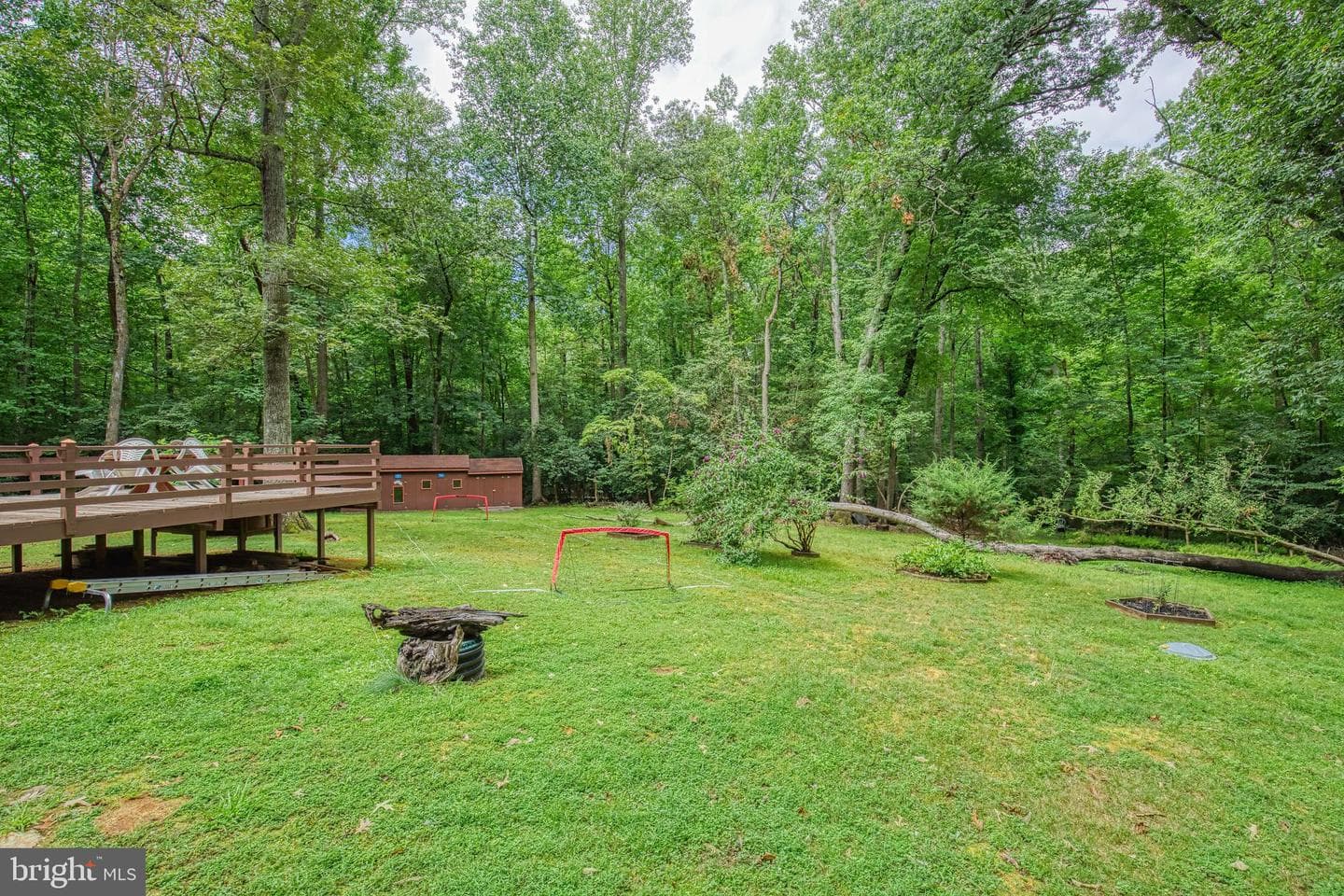 11616 Forest Walk Drive photo 8