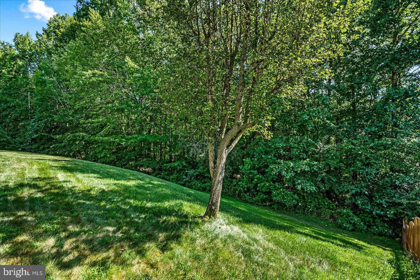 6904 Yeoman Court photo 39
