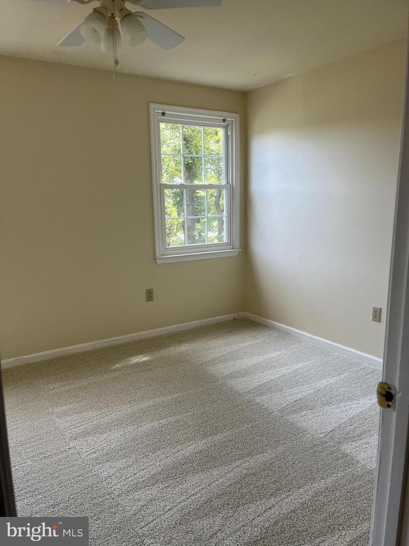12202 Abner Court photo 17