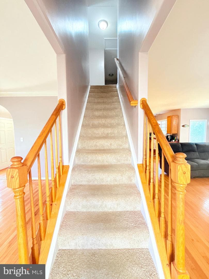 3122 Terra Springs Drive photo 6