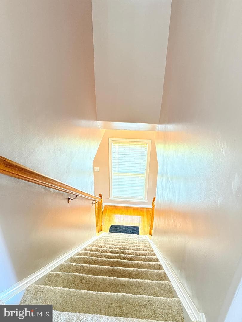 3122 Terra Springs Drive photo 8