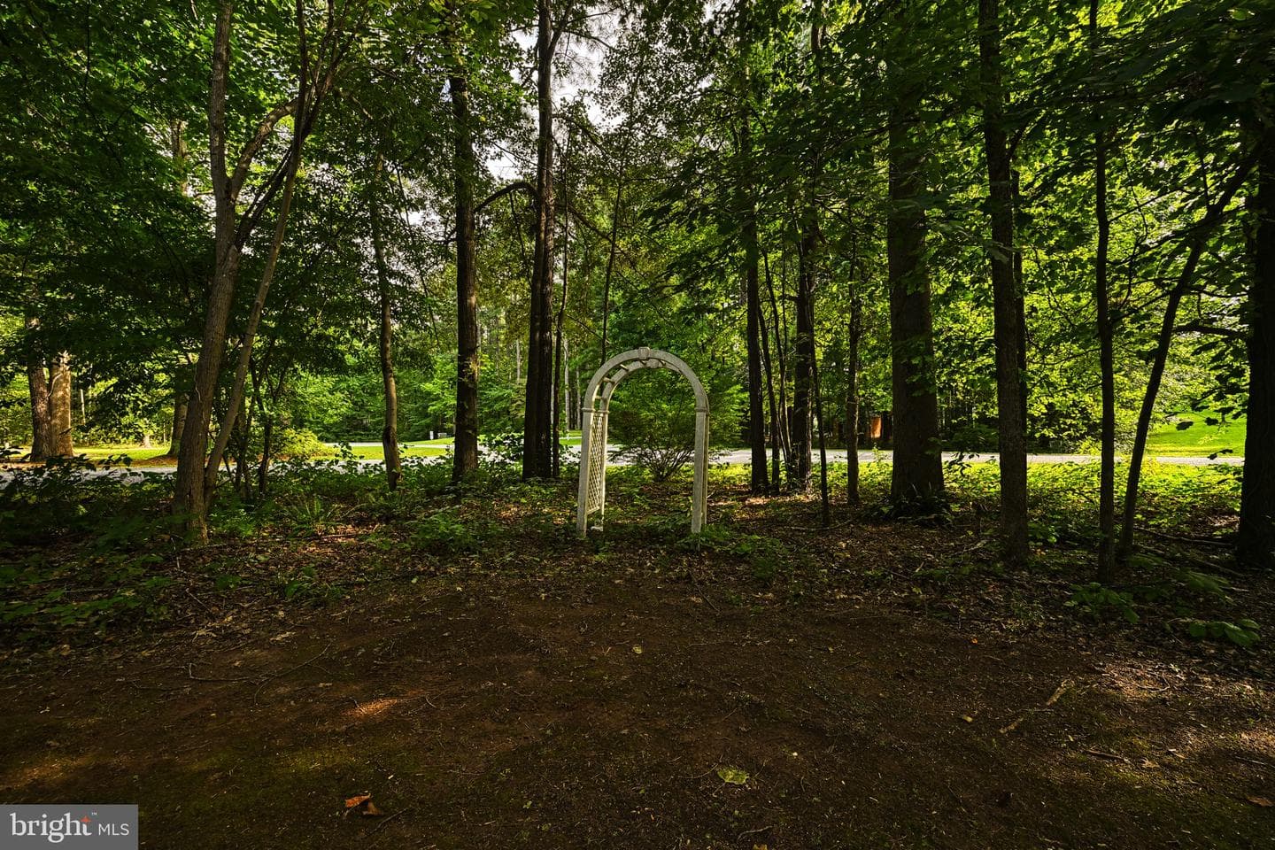 11401 Rockland Landing Road photo 55