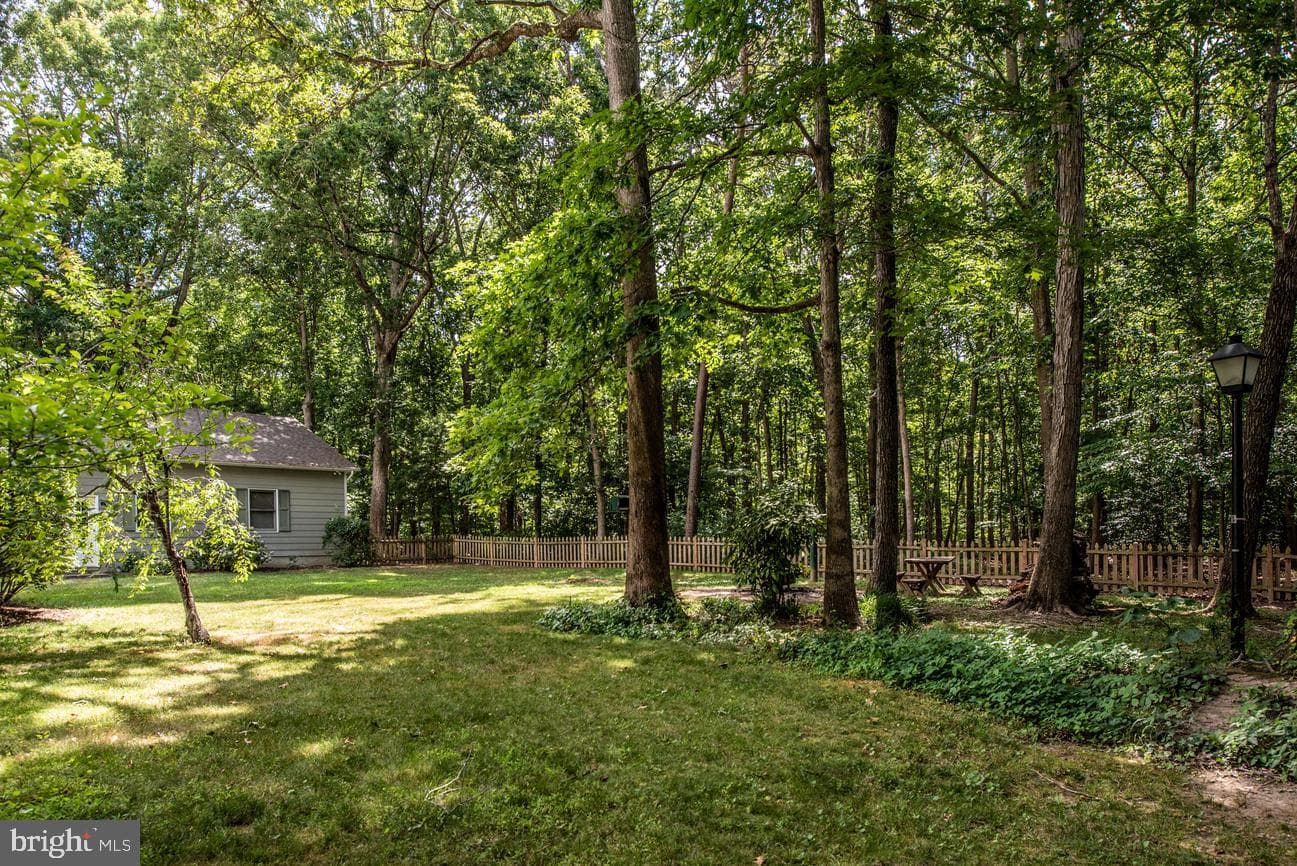 13111 Chapel Hills Drive photo 4