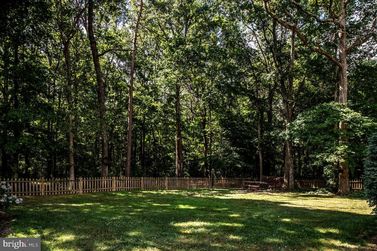 13111 Chapel Hills Drive photo 5