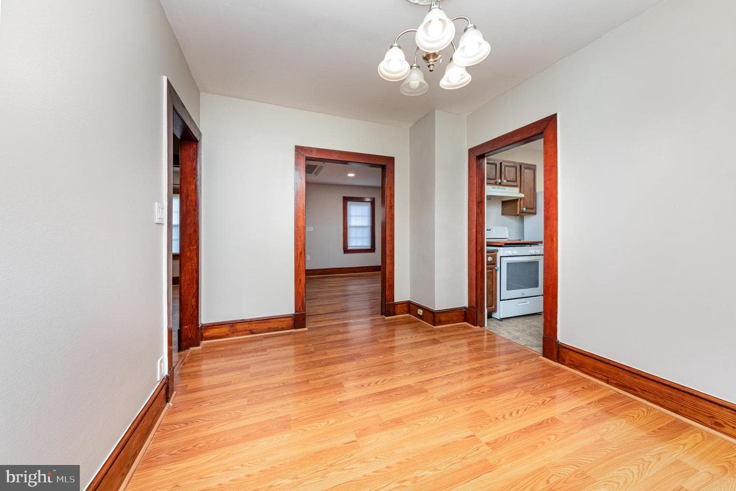 206 Mansfield Street photo 8