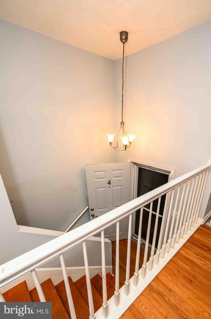 4 Griffin Court photo 11