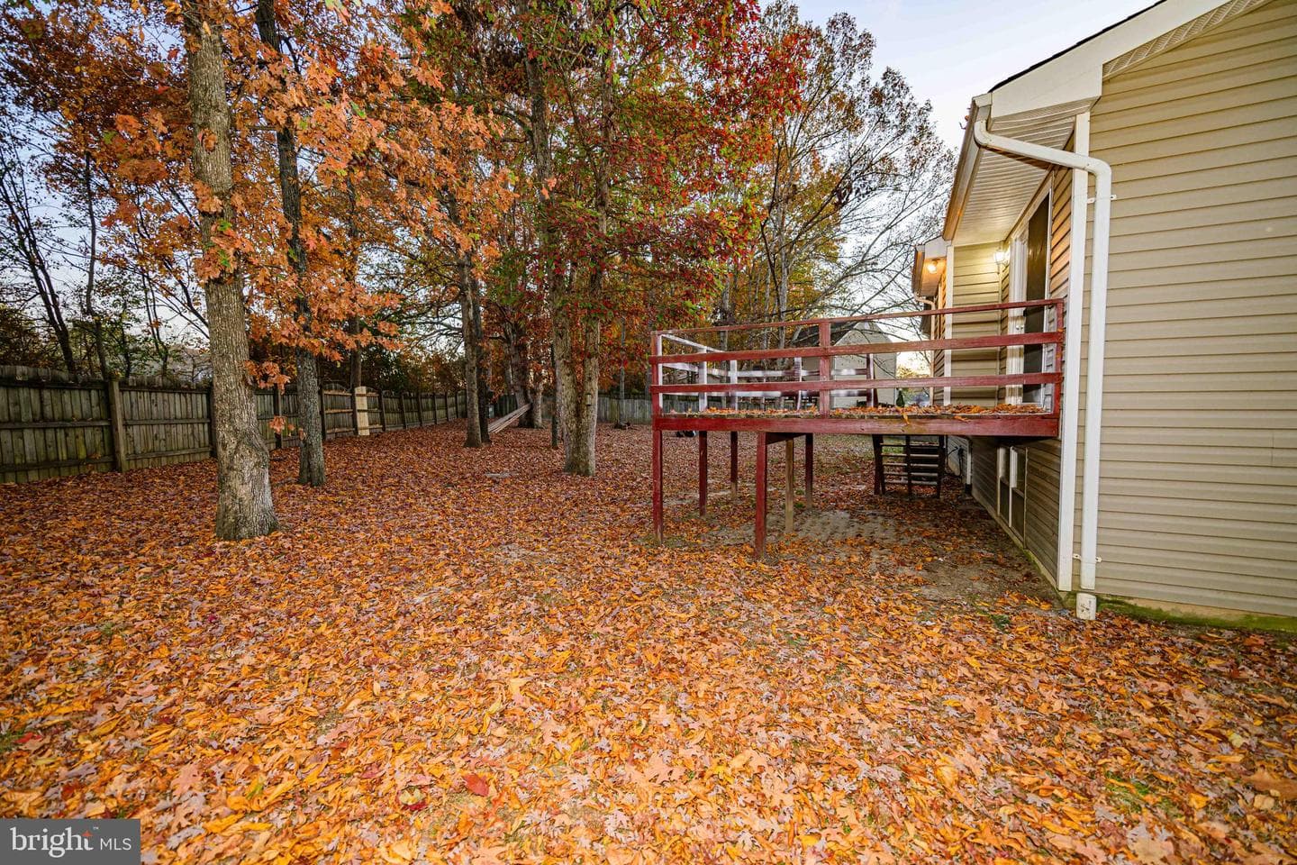 4 Griffin Court photo 35