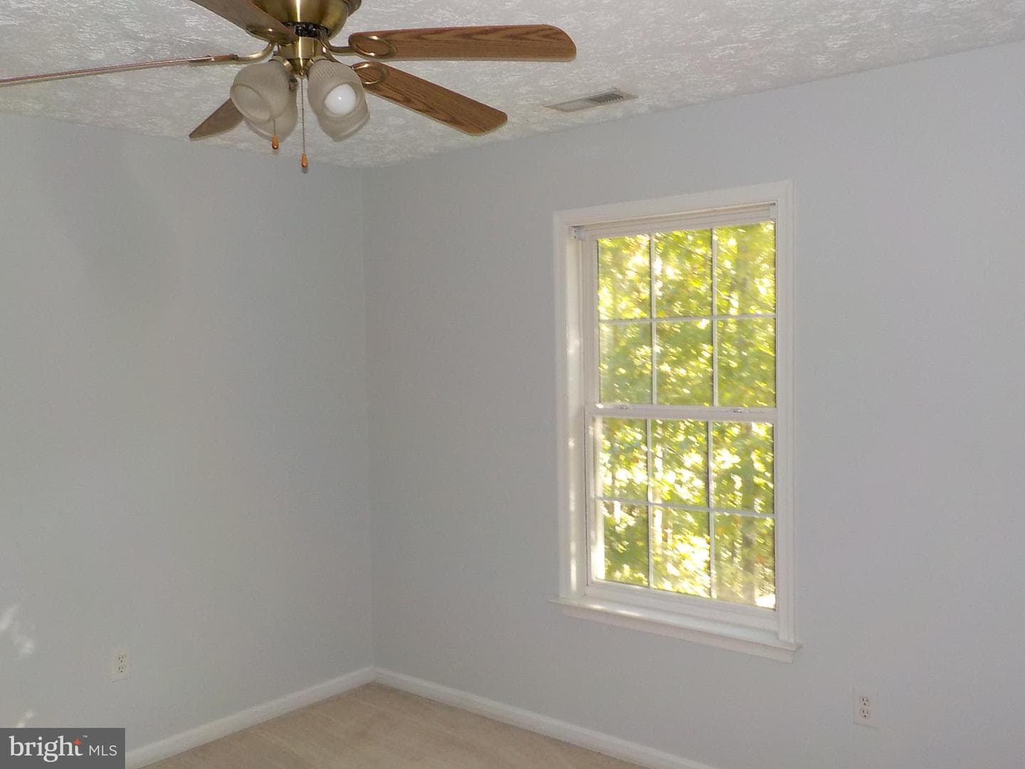 10514 Edinburgh Drive photo 11
