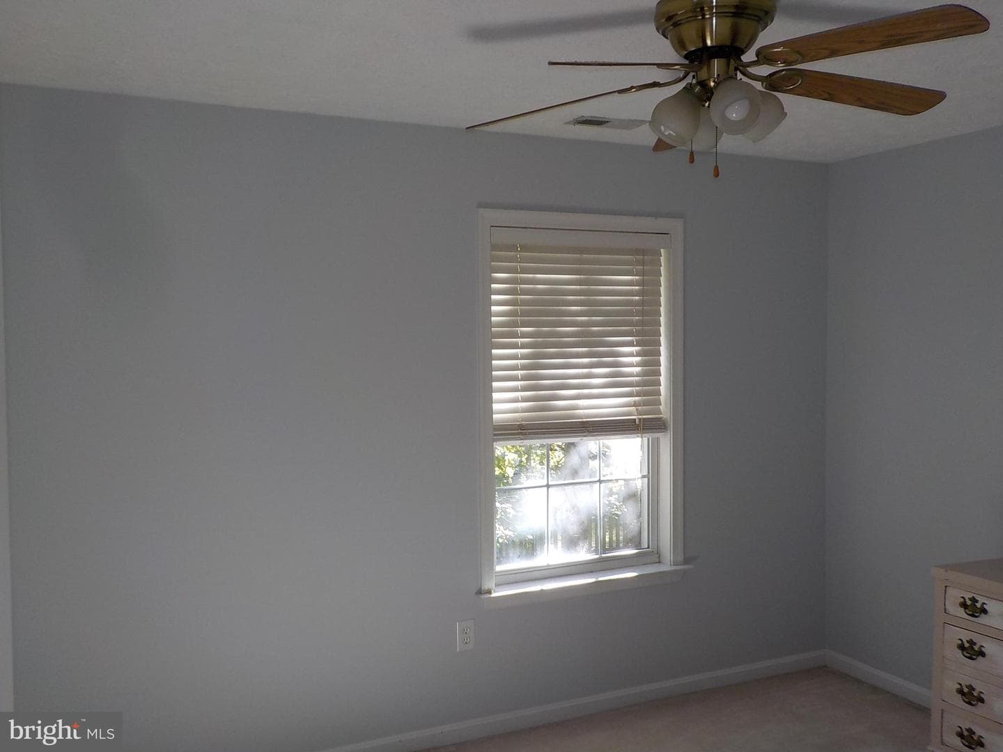 10514 Edinburgh Drive photo 12