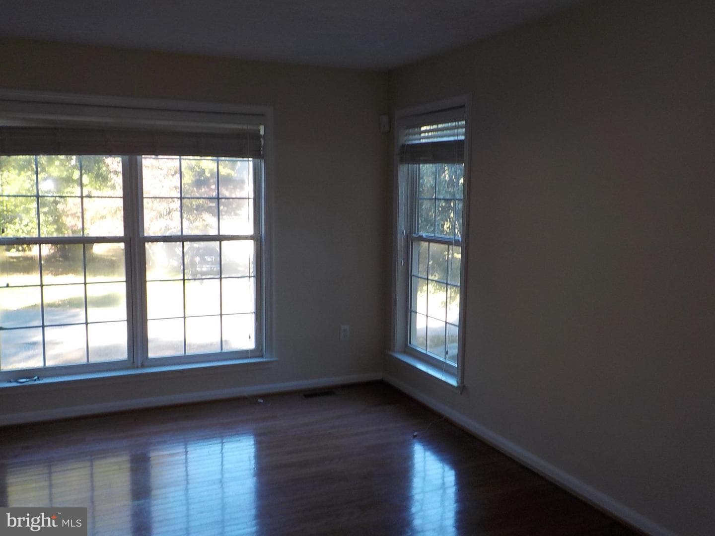 10514 Edinburgh Drive photo 6