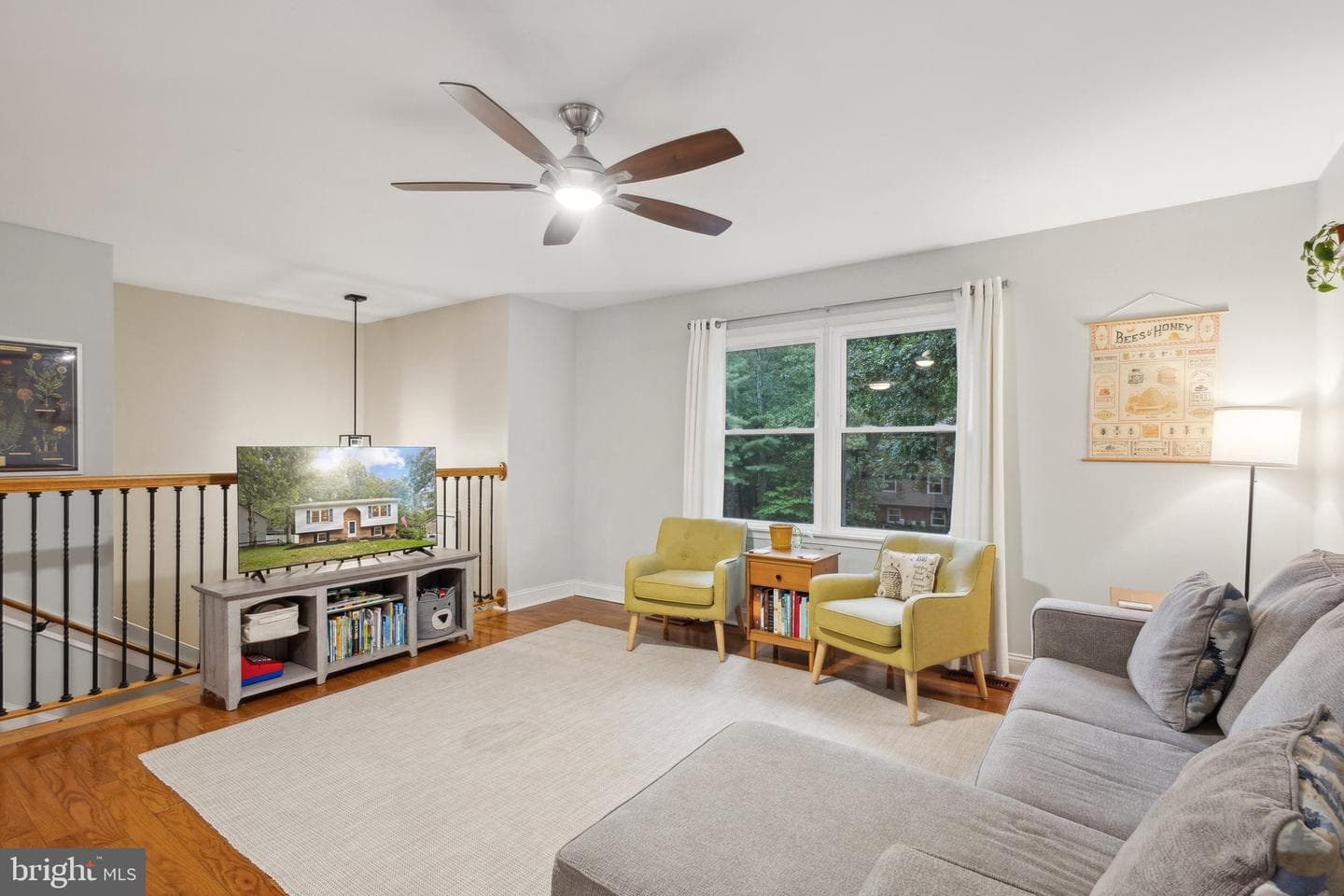 340 Albany Street photo 4