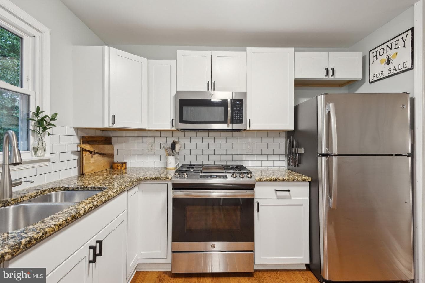 340 Albany Street photo 8