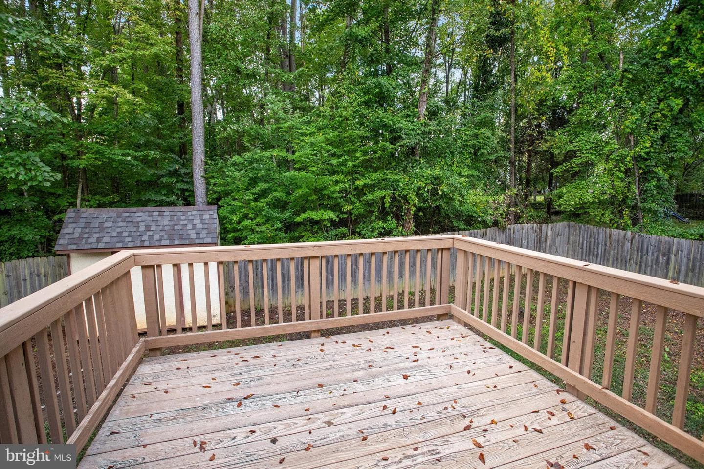 11802 Ashwood Court photo 25