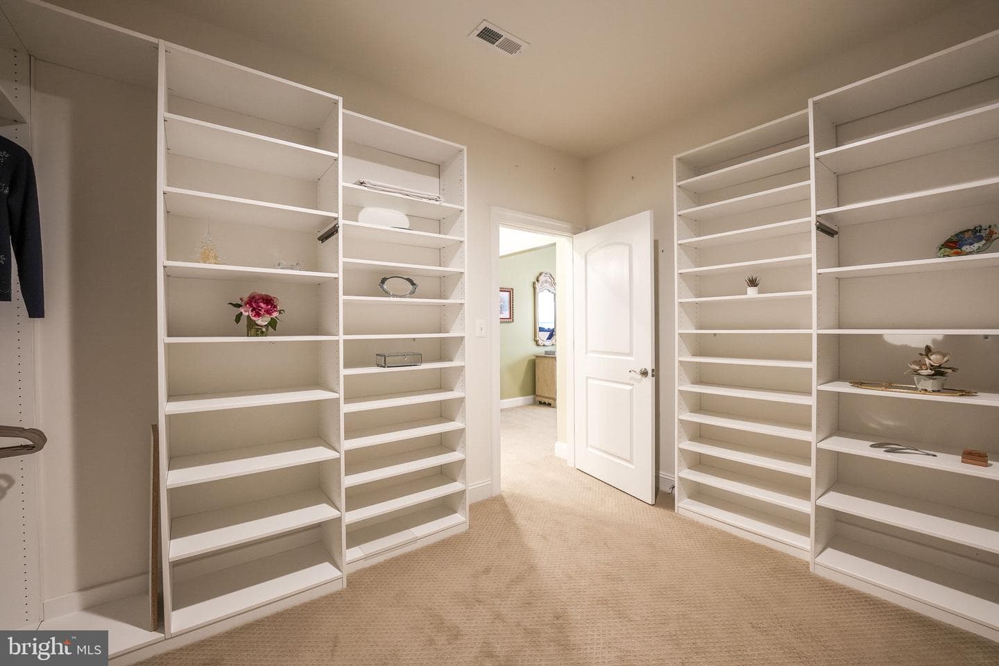 12426 Ruby Red Drive photo 23