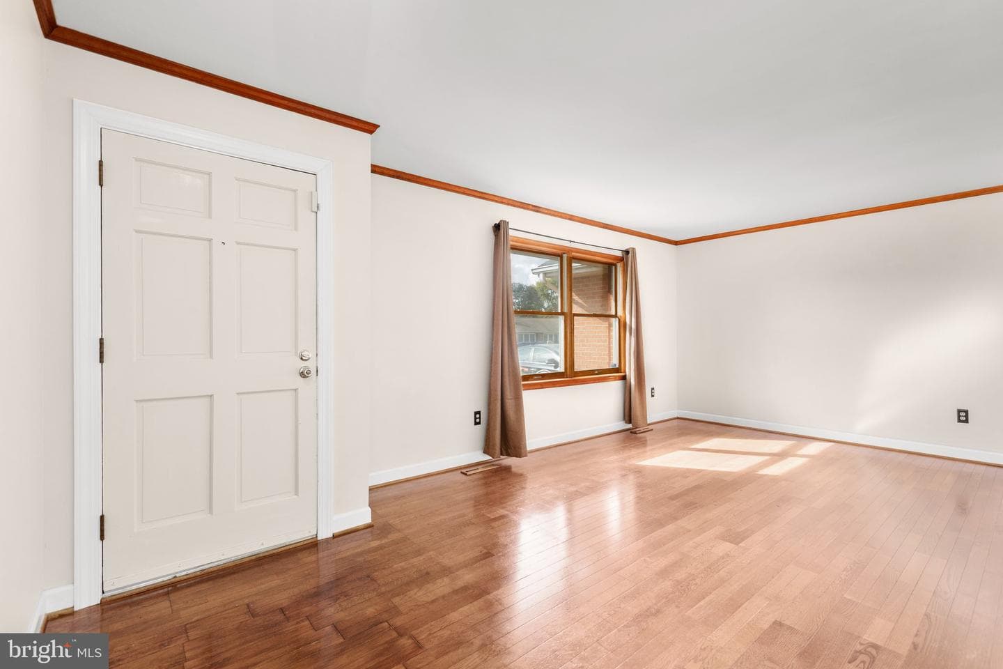 805 Shamrock Drive photo 14