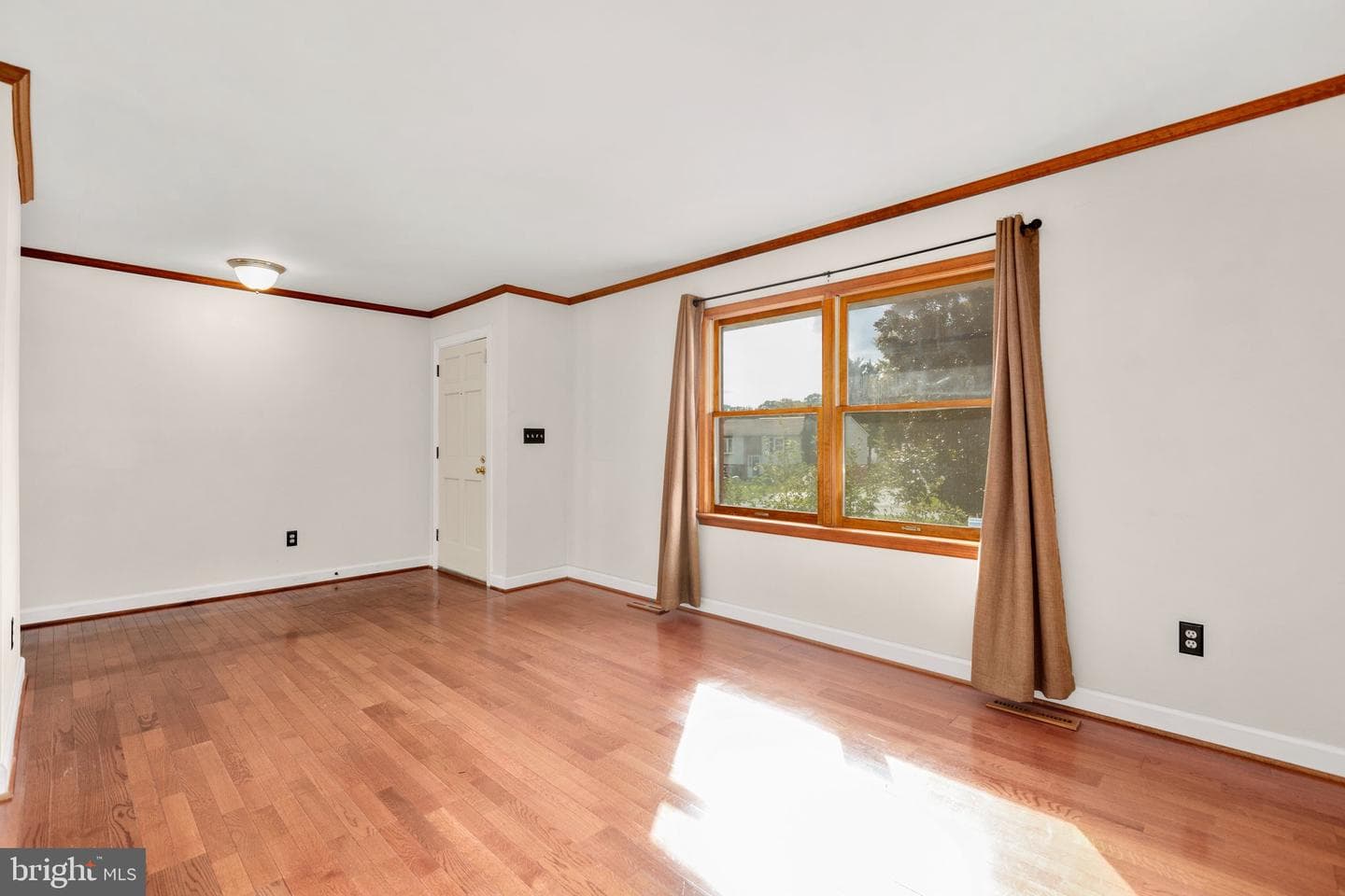 805 Shamrock Drive photo 15