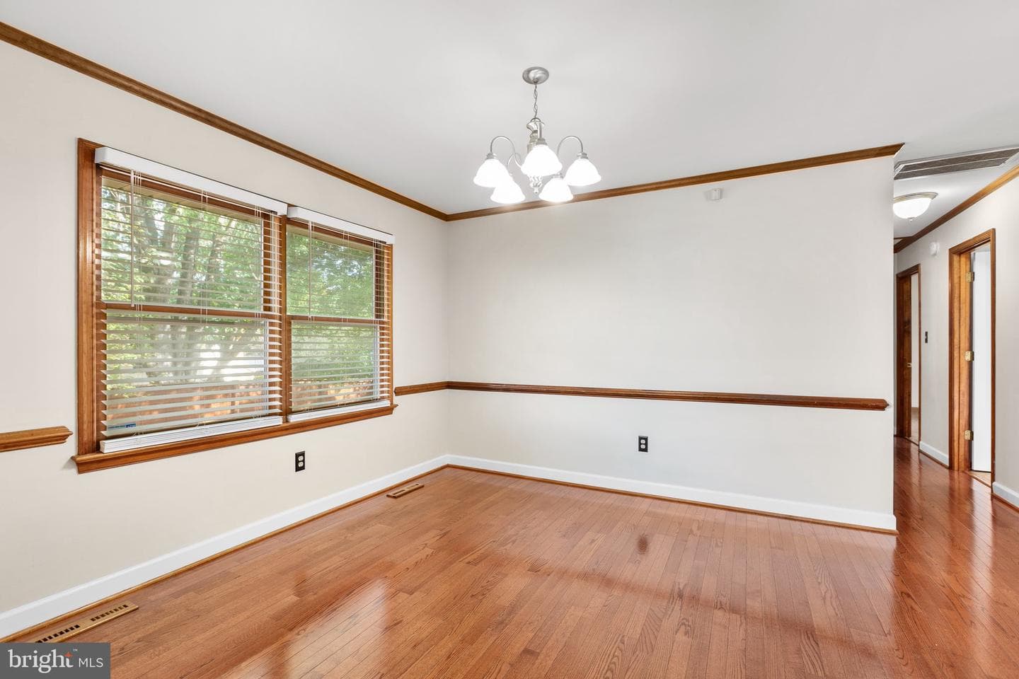 805 Shamrock Drive photo 18