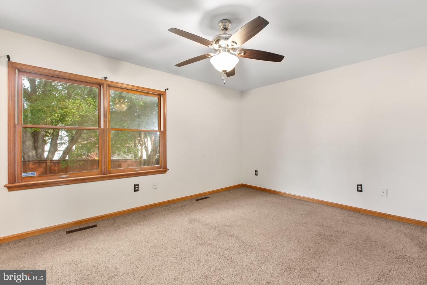 805 Shamrock Drive photo 19
