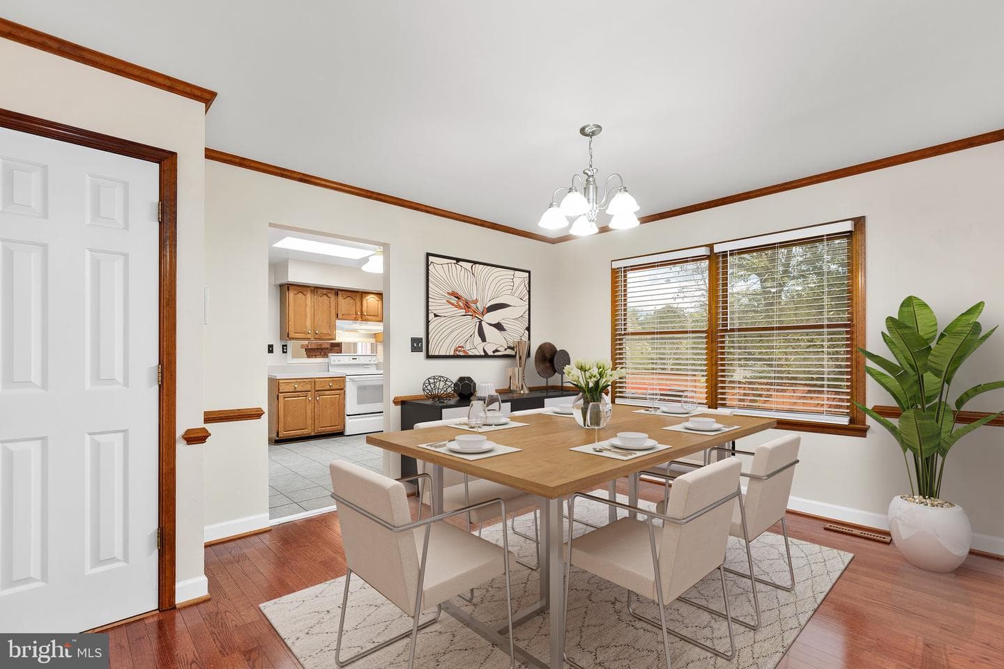 805 Shamrock Drive photo 3