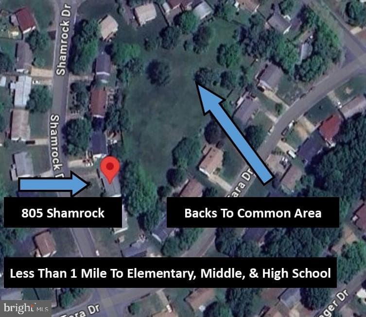 805 Shamrock Drive photo 7